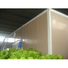 Banana Ripening Chamber