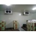 Fruit And Vegetable Cold Storage Room