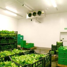 Vegetable Cold Storage System