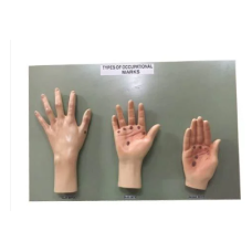 Forensic Occupational Mark Model