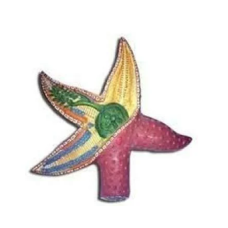 Starfish Model