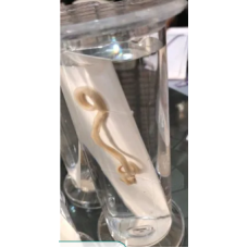 Ascaris specimen
