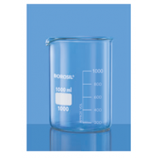 Low Form With Spout Beaker 