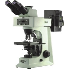 Fluorescence Microscopes FM-2000