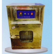 SS Digital Incubator