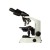 Magnus MLXi Plus Binocular Microscope