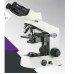 Magnus MX21i Binocular Clinical Microscope