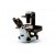 Olympus CKX53 Inverted Microscope With LED Illumination