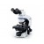 Olympus CX43 TR With Phase Contrast Trinocular Microscope