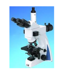 Labomed Microscope