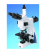 Labomed Microscope