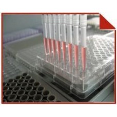 Liquid Handling Workstations (VERSA Series )