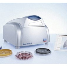 Real Time Pcr System