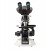 Magnus Theia MLXi Plus Binocular Microscope