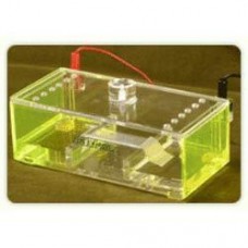 Mini Horizontal Immuno Gel Electrophoresis