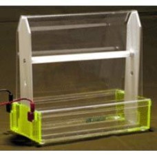 Paper Gel Electrophoresis Systems