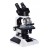Research Microscopes - Binocular