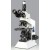 Trinocular Microscopes