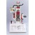 Four Stroke Petrol Engine Model