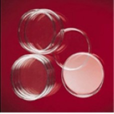 Petri Dishes