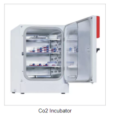 Co2 Incubator