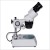 Binocular Microscope