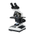 MICRON Brand Doctor's Binocular Research Microscope BINO CXL(ISI, CE Quality)