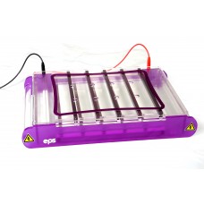 Horizontal Agorose Gel Electrophoresis system