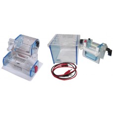 Mini Vertical SDS PAGE gel system