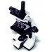 LABOVISION Trinocular Compound Microscope (Clinical) Digital Microscope Model AXL Trinocular LABOVISION Trinocular Compound Microscope (Clinical) Digital Microscope Model AXL Trinocular