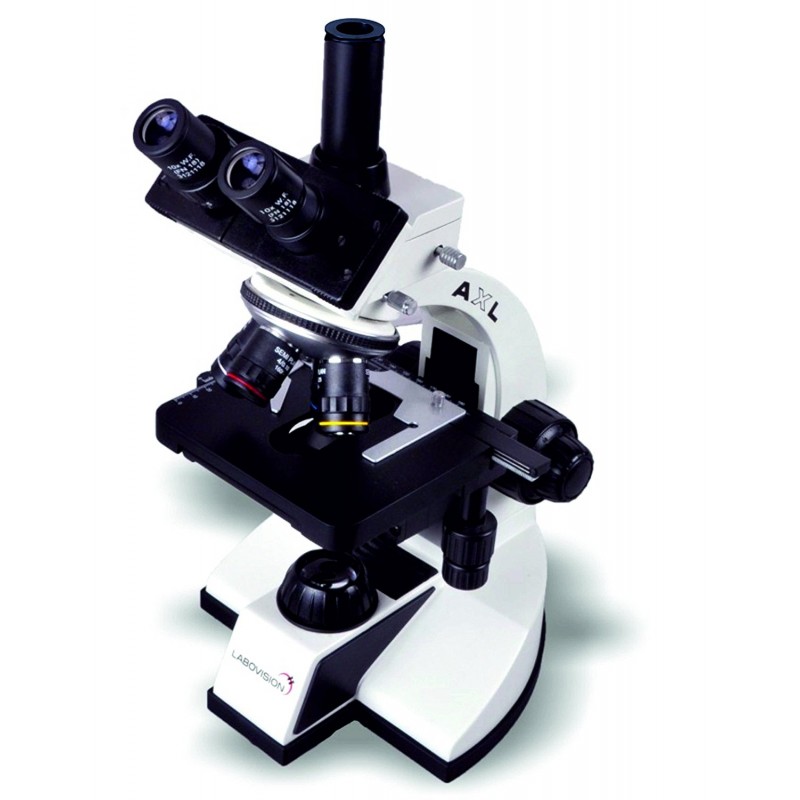 Buy Labovision Trinocular Compound Microscope Clinical Digital Microscope Model Axl Trinocular Get Price For Lab Equipment