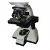 LABOVISION Binocular Compound Microscope (Clinical) Model AXL Binocular