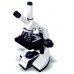 LABOVISION AXL Dual View Monocular Compound Microscope 