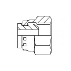 Female BSP Swivel Dummy Cap