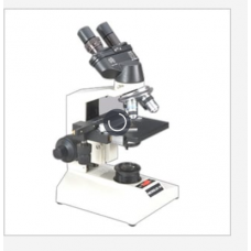 Trinocular Microscopes