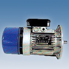 Brake Motors