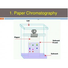 Chromatography Paper