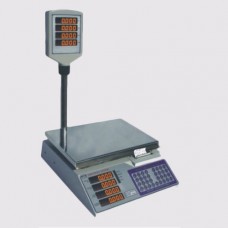 Computing Scale