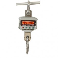 Crane Scale