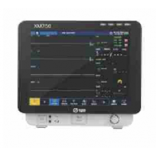 Five Para Monitor (Advance)