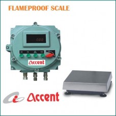 Flame Proof Balance