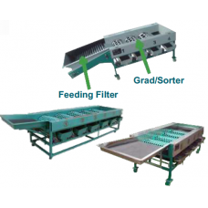 Fruit Grading Conveyor