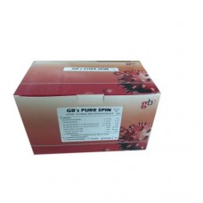 RNA Isolation Kit