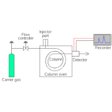 Gas Chromatograph