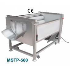 Ginger/Potato Washer and Peeling Machine