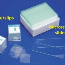 Glass Slides & Cover Slip