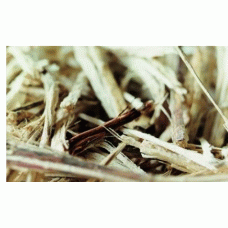 Bagasse Fuel Additive