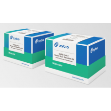 SARS-CoV-2 Nucleic Acid Detection Kit