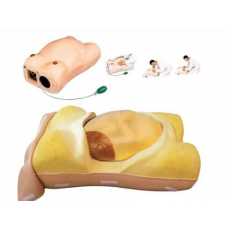 Maternity Examination Model