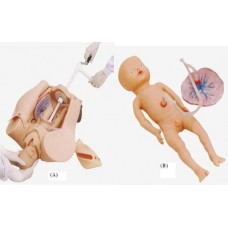 Advanced Delivery Mechanism Demonstration Simulator